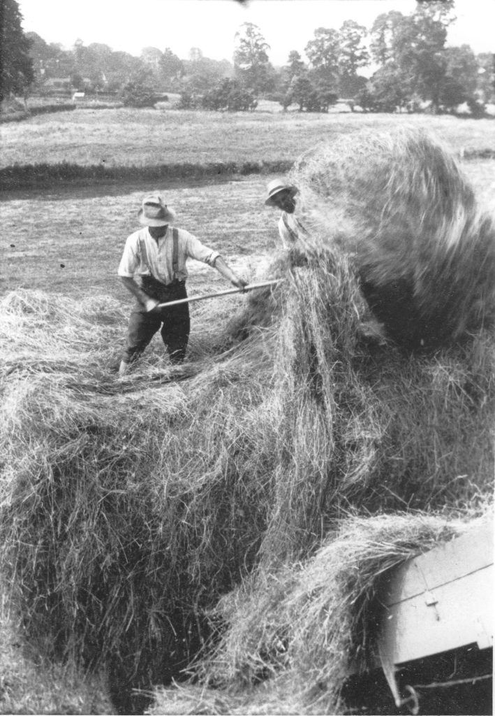 1935. Haymaking on Compton Farm, Bill Rumming & Walter Woodman