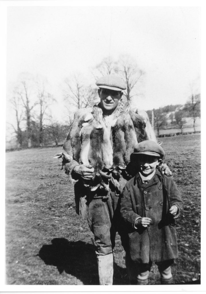 1929. Bill Rumming and son Reg after a good catch of rabbits by ferrets and nets. These were worth more than shot rabbits, selling at around 6 old pence each. Bill was one of 5 gamekeepers employed by Major Pope who held the shooting rights during the CWS ownership of the estate. Head Keeper was Mr Cuthbert. His son Harold, Mr Dalton and James Rumming making up the 5.