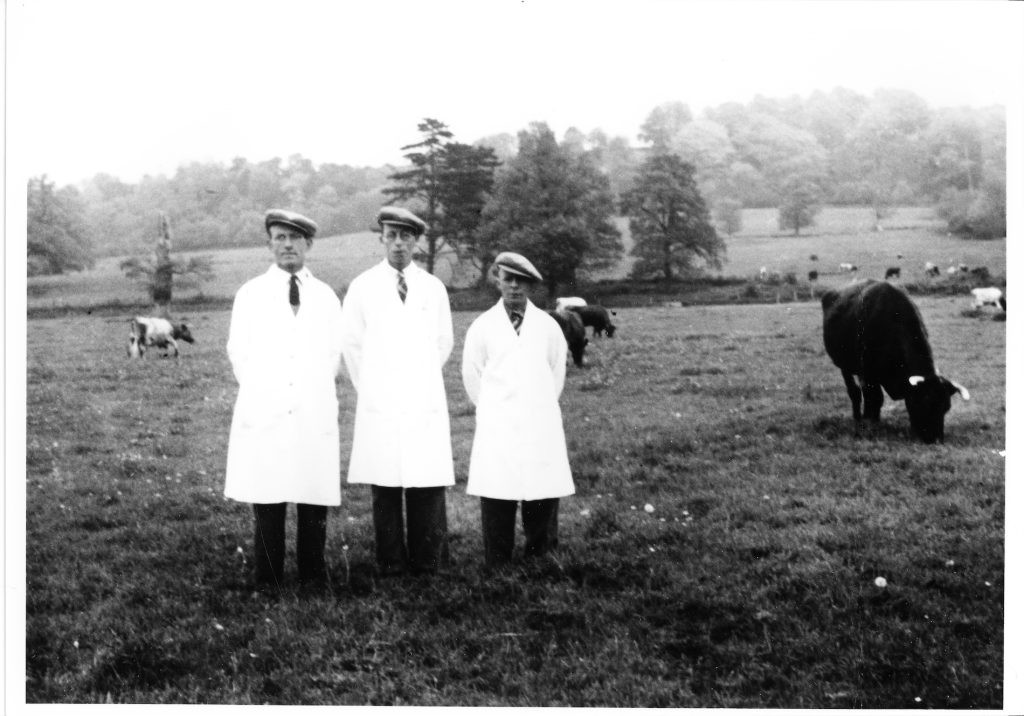 1950. Reg Matthews, Harold Maslen, John Pearce. Photo taken in Streete Farm Home field. Reg Matthews was a first class herdsman. During his 32 years working with the Fielding-Johnsons at Manor Farm, he built up the leading herd of dairy shorthorn cattle, known as the Eff-Jay herd. Taking the top awards at all the shows in the country. A well liked villager, he was reckoned to be one of the best darts players in the area. Harold Maslen and John Pearce worked with Reg for about 10 years, living in Streete Farm House. Both were keen on sporting activities in the village, being "key" players in the football team