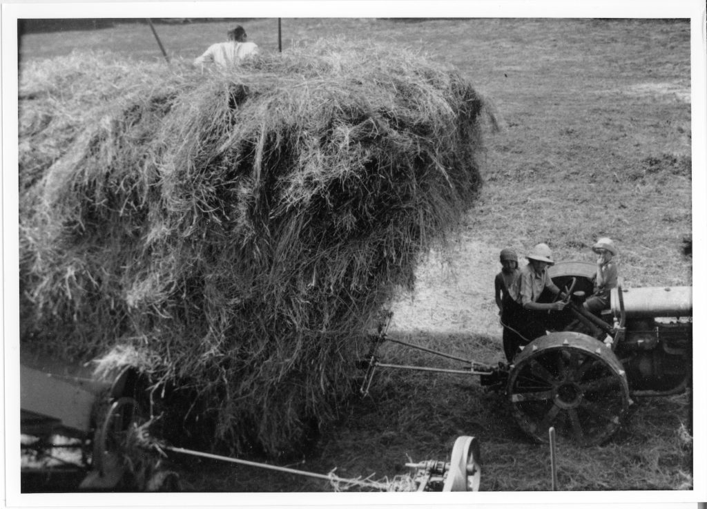 Mrs Birnstingl driving tractor with her two sons 1935