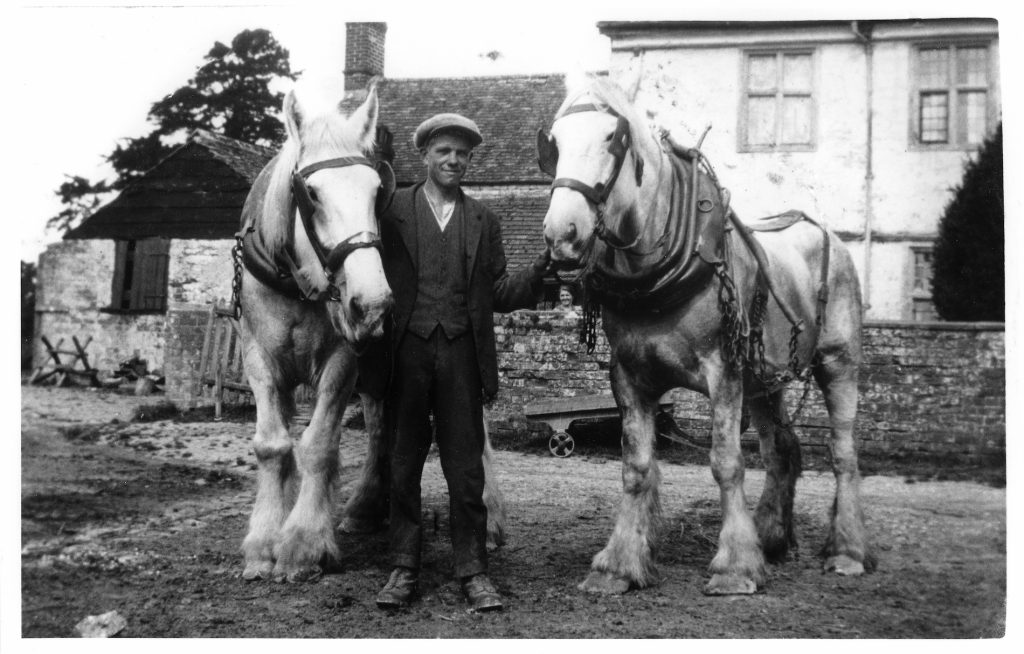 1925. Den Rumming taken at Manor Farm. The farm then owned by the C.W.S in 1918-1930