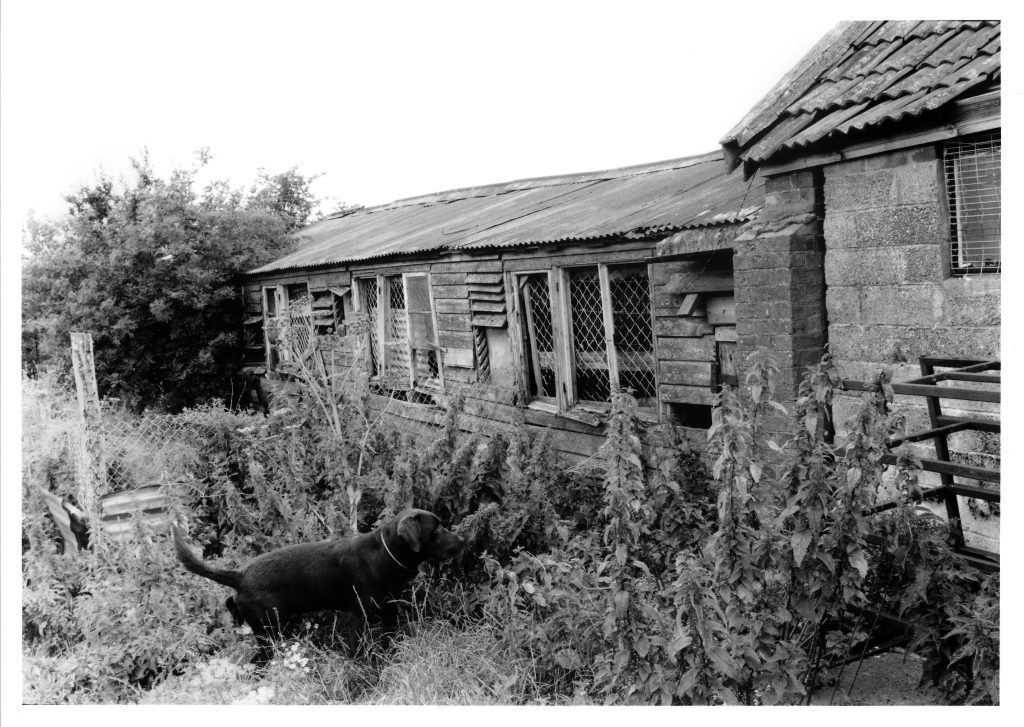 1990. Old village hall turned turkey shed at The Freeth, formerly Freeth Farm.