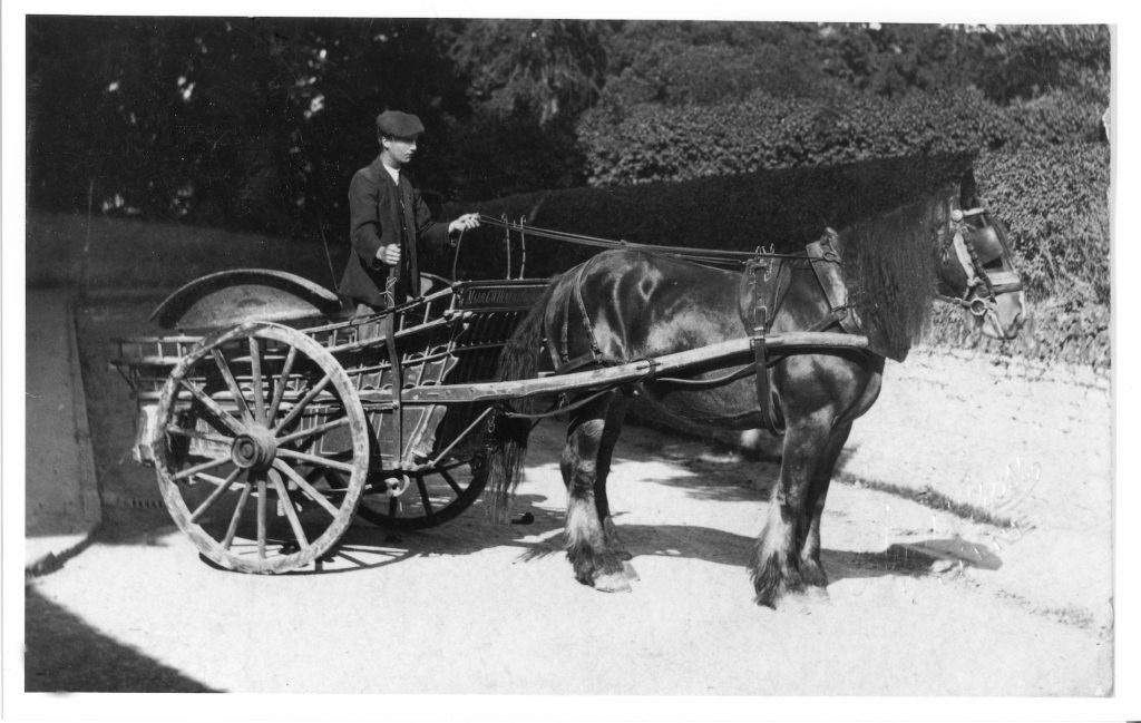 1914. Ernest Rumming with milk cart in Silver Street, Calne after delivering milk from the Heneage Estate, Compton Bassett to the dairy which was on the Green, Calne.