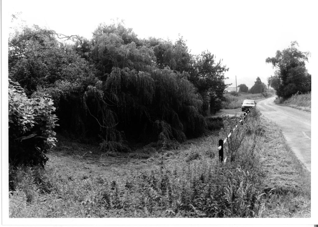 Village Pond 1990