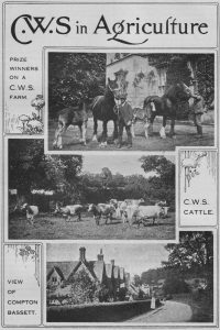 The recent acquisition of Compton Bassett estate was shown off in the 1920 Co-op international publication, ‘The People’s Yearbook’. Compton House features at the top and a village scene by Number 26 looking down toward the school.